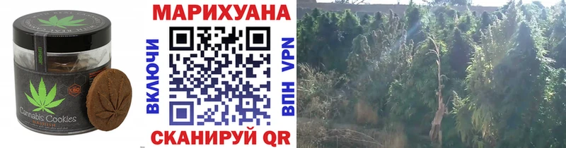 Купить  Высоцк  Canna-Cookies конопля 