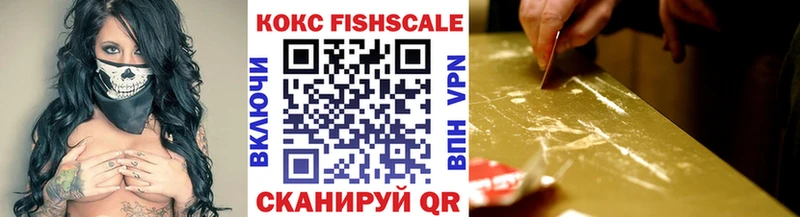 Купить закладки  Высоцк  Кокаин Fish Scale 