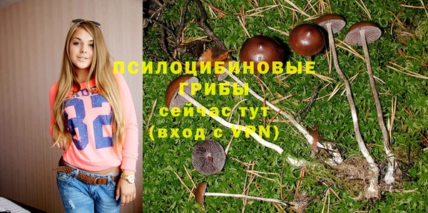 гидропоника Богородск