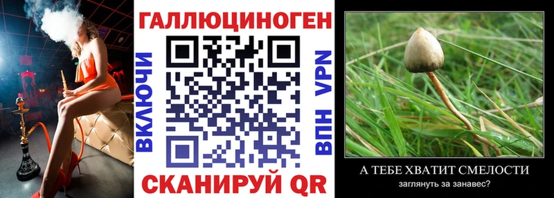 Псилоцибиновые грибы MAGIC MUSHROOMS Купить где Высоцк